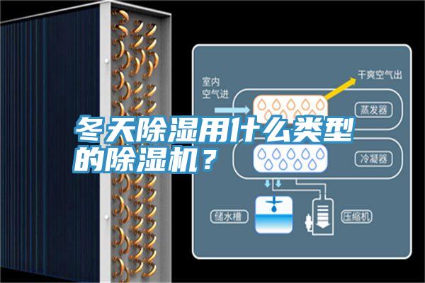 冬天除濕用什么類型的除濕機？