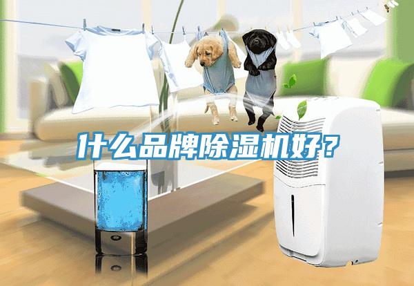 什么品牌除濕機好？