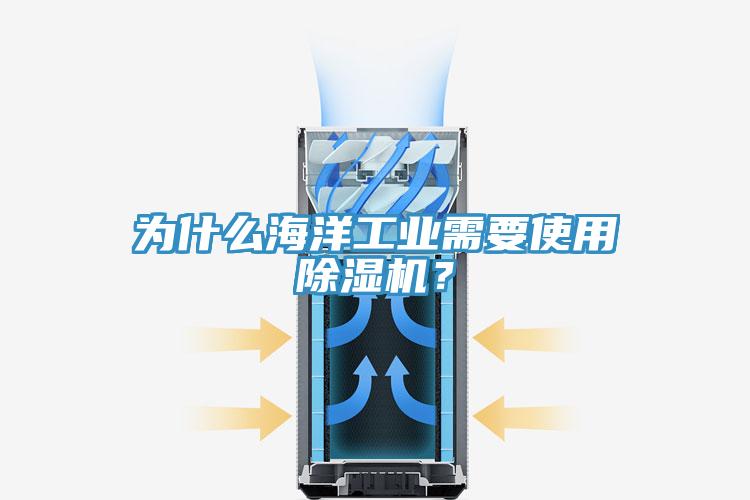 為什么海洋工業(yè)需要使用除濕機？