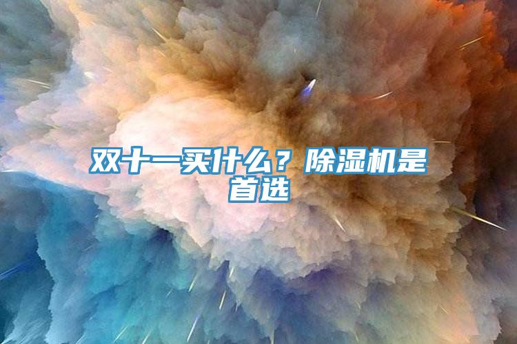 雙十一買什么？除濕機是首選