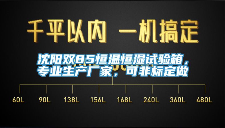 沈陽雙85恒溫恒濕試驗箱，專業(yè)生產(chǎn)廠家，可非標定做