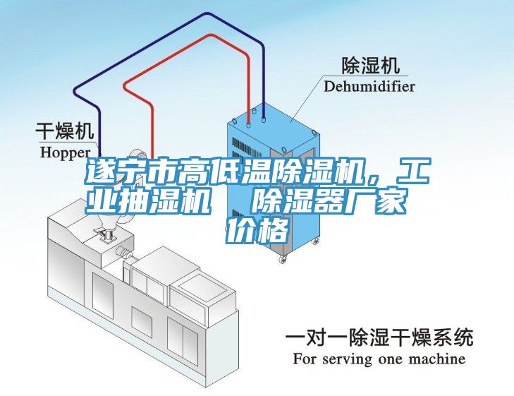 遂寧市高低溫除濕機，工業(yè)抽濕機  除濕器廠家 價格