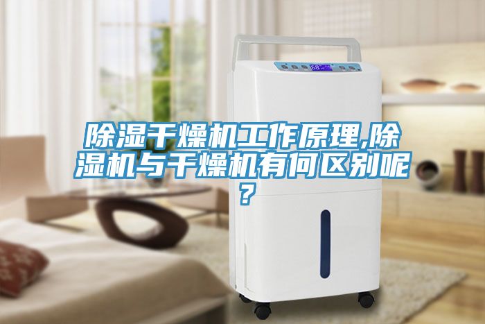 除濕干燥機工作原理,除濕機與干燥機有何區別呢？