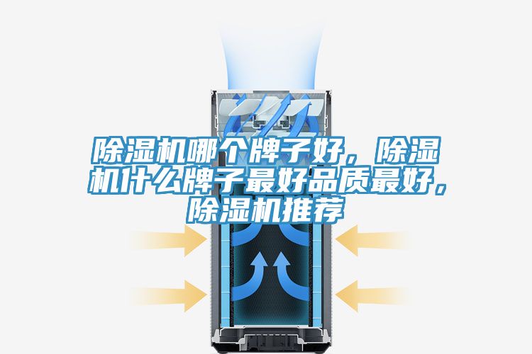 除濕機哪個牌子好，除濕機什么牌子最好品質最好，除濕機推薦