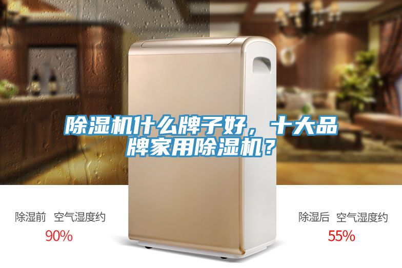 除濕機什么牌子好，十大品牌家用除濕機？