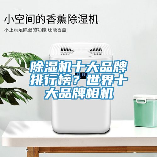 除濕機十大品牌排行榜？世界十大品牌相機