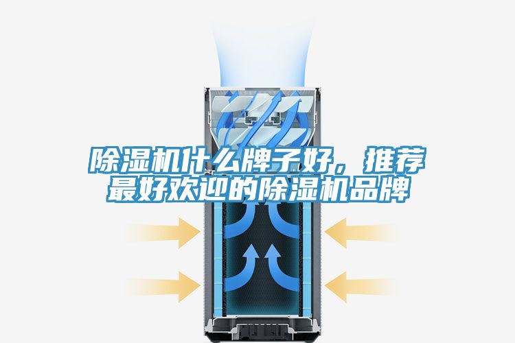 除濕機什么牌子好，推薦最好歡迎的除濕機品牌