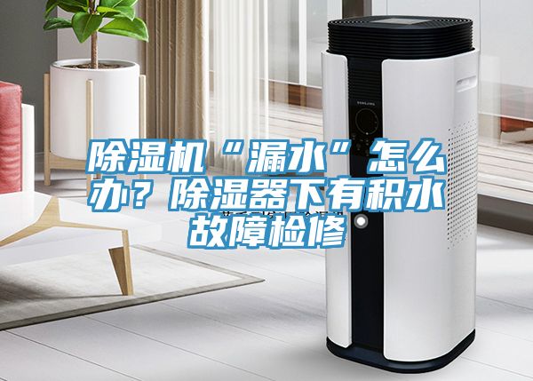 除濕機“漏水”怎么辦？除濕器下有積水故障檢修