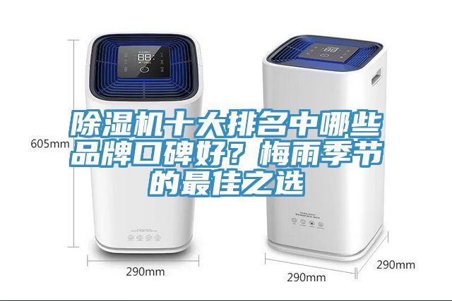 除濕機十大排名中哪些品牌口碑好？梅雨季節的最佳之選