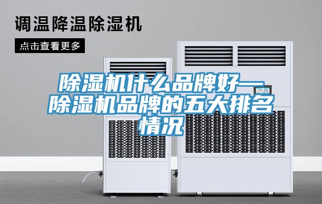 除濕機什么品牌好—除濕機品牌的五大排名情況