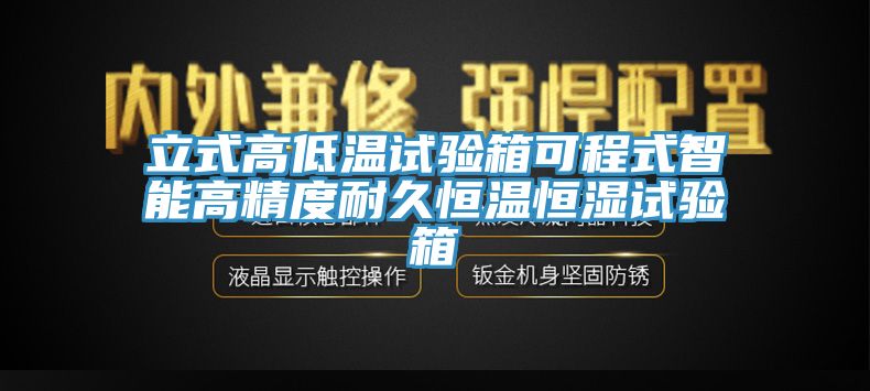 立式高低溫試驗箱可程式智能高精度耐久恒溫恒濕試驗箱