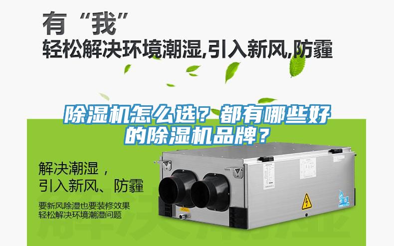 除濕機怎么選？都有哪些好的除濕機品牌？