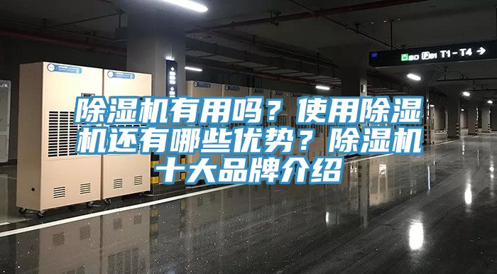 除濕機有用嗎？使用除濕機還有哪些優勢？除濕機十大品牌介紹