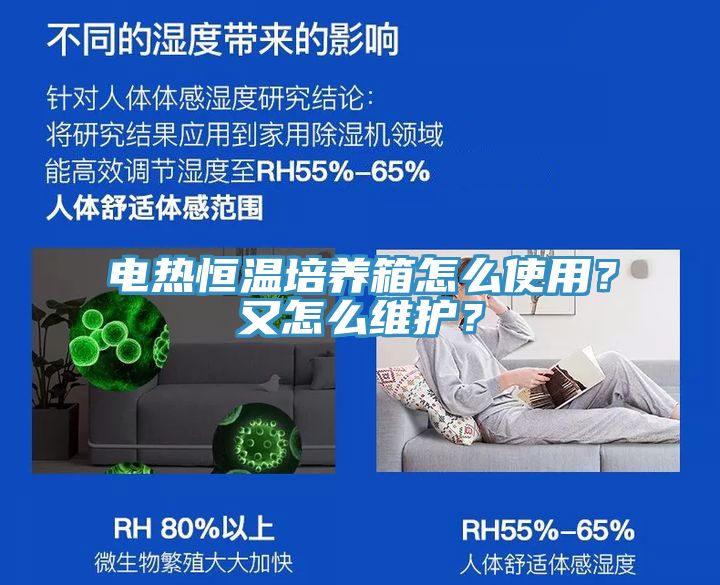 電熱恒溫培養(yǎng)箱怎么使用？又怎么維護？