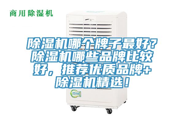 除濕機哪個牌子最好？除濕機哪些品牌比較好，推薦優(yōu)質(zhì)品牌+除濕機精選！