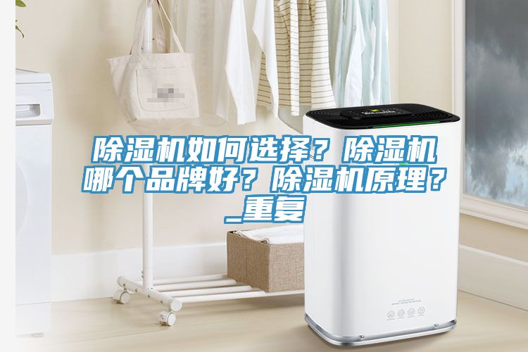 除濕機如何選擇？除濕機哪個品牌好？除濕機原理？_重復