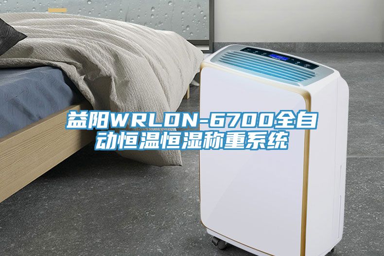 益陽WRLDN-6700全自動恒溫恒濕稱重系統(tǒng)