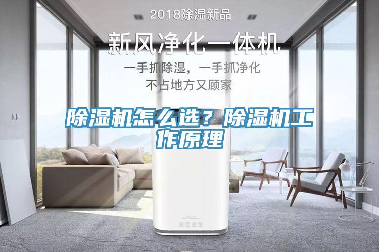 除濕機怎么選？除濕機工作原理