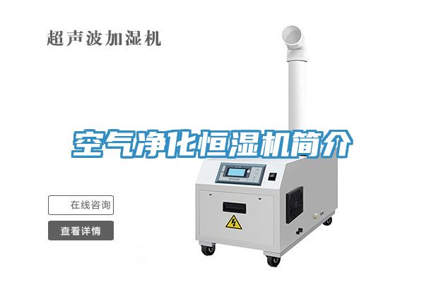 空氣凈化恒濕機(jī)簡(jiǎn)介