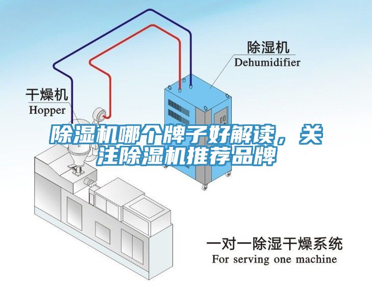 除濕機哪個牌子好解讀，關注除濕機推薦品牌